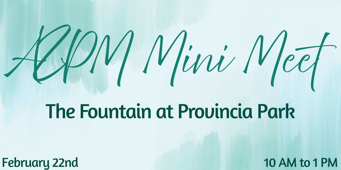 AZPM mini-meet The Fountain 2/22/25